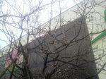 20120318_01
