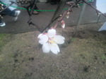 20120318_02