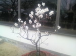 20120318_03
